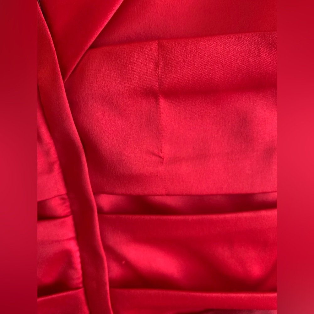 Express Rouched Two Tone Dress - Picture 3 of 4